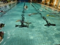 Meerjungfrauenschwimmen-092.jpg